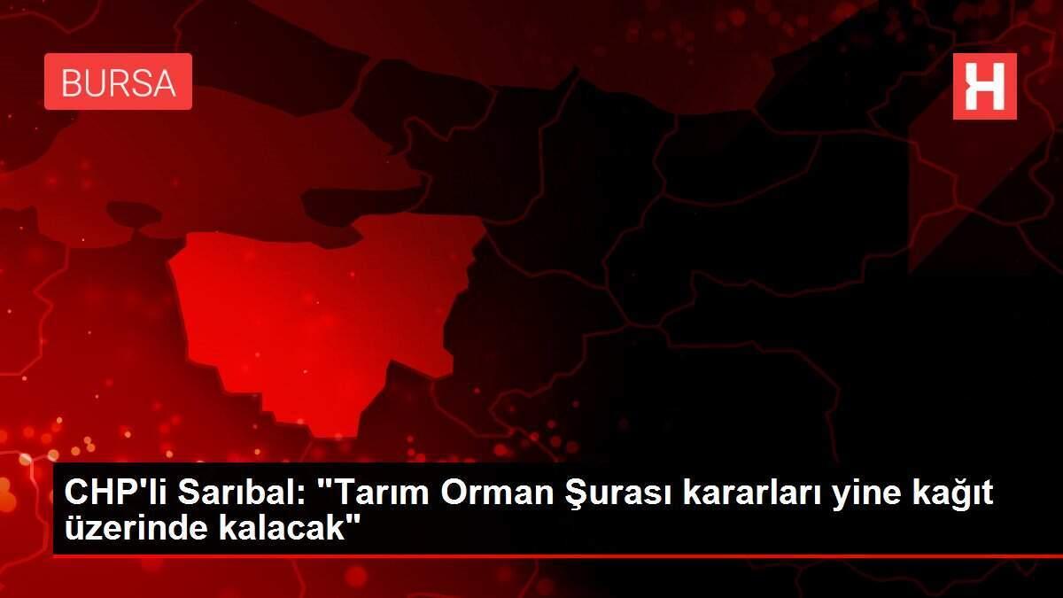CHP'li Sarıbal: