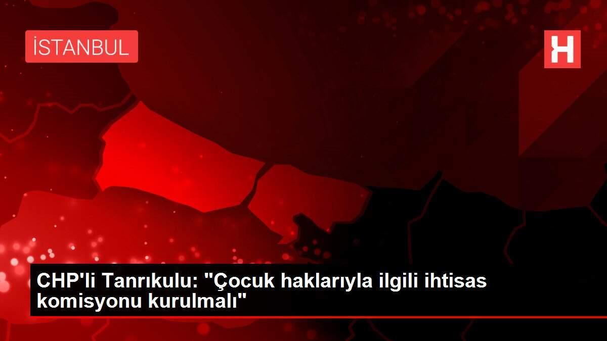 CHP'li Tanrıkulu:
