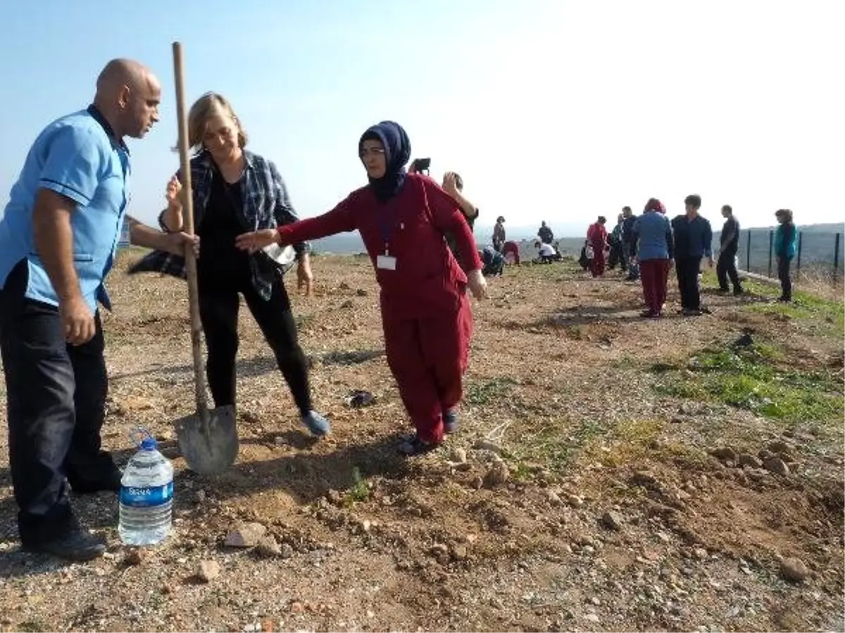 Diyabet hastalarından en tatlı hatıra ormanı