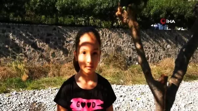 Dutlar mevsimi şaşırdı Dutlar mevsimi şaşırdı