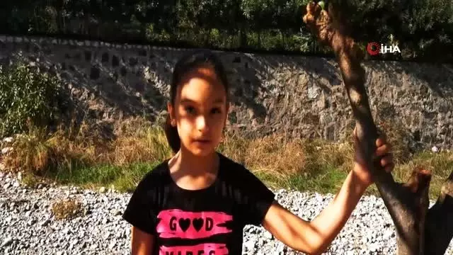 Dutlar mevsimi şaşırdı Dutlar mevsimi şaşırdı