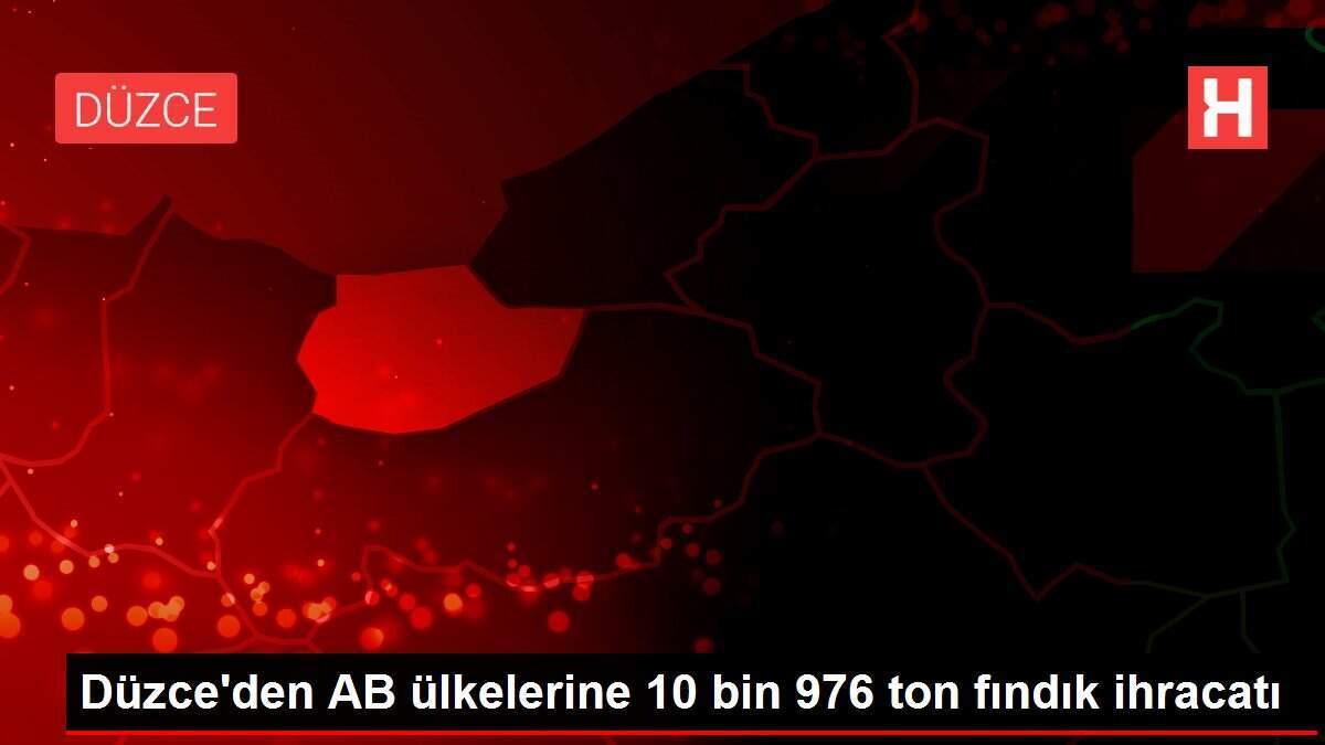 Düzce'den AB ülkelerine 10 bin 976 ton fındık ihracatı