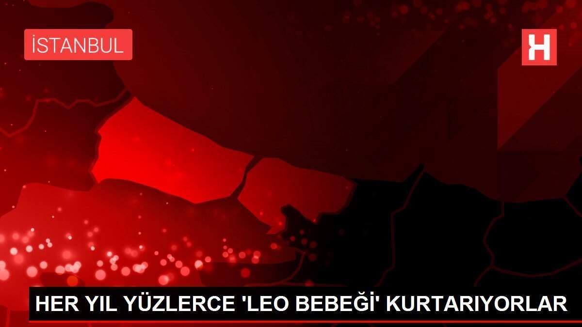HER YIL YÜZLERCE 'LEO BEBEĞİ' KURTARIYORLAR