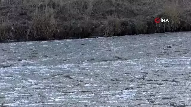 Kars Çayı aşırı soğuktan donmaya başladı Kars Çayı aşırı soğuktan donmaya başladı