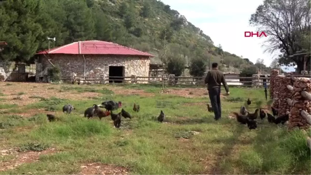 Muğla hayalini gerçekleştirip, köyüne 10 milyon liralık yatırım yaptı