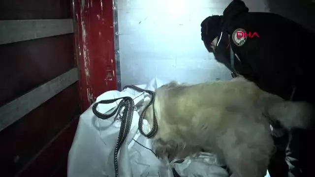Rekor uyuşturucu sanıkları mahkemede birbirine düştü Rekor uyuşturucu sanıkları mahkemede birbirine düştü