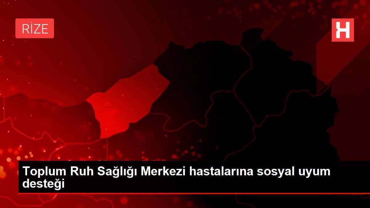 Toplum Ruh Sağlığı Merkezi hastalarına sosyal uyum desteği Toplum Ruh Sağlığı Merkezi hastalarına sosyal uyum desteği