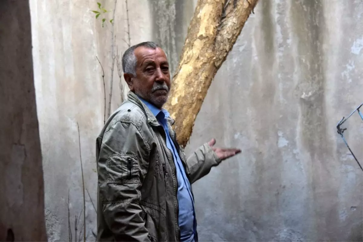 Yalnız yaşayan yaşlı adamın evi yandı