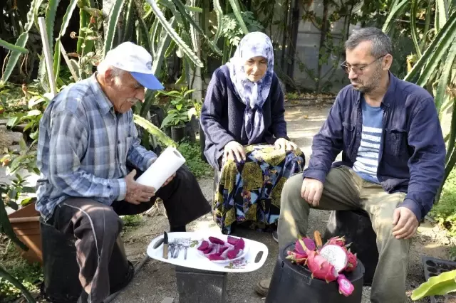 Bahçede kilosu, tezgahta tanesi 30 lira Bahçede kilosu, tezgahta tanesi 30 lira