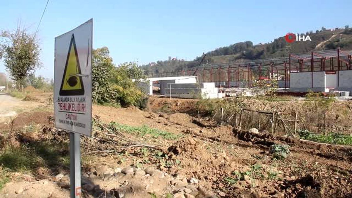 'Balık avlamak yasaktır' yazıyor ama derede su yok