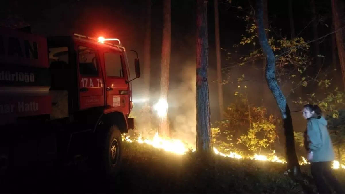 Çanakkale'de korkutan yangın
