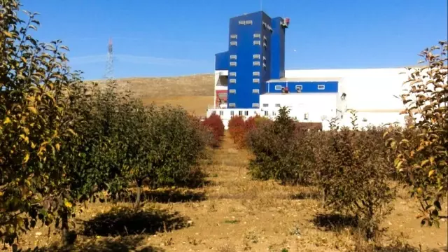 Çorum'da biyokütle enerji santrali ile meyve bahçesi yan yana Çorum'da biyokütle enerji santrali ile meyve bahçesi yan yana