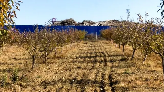 Çorum'da biyokütle enerji santrali ile meyve bahçesi yan yana Çorum'da biyokütle enerji santrali ile meyve bahçesi yan yana