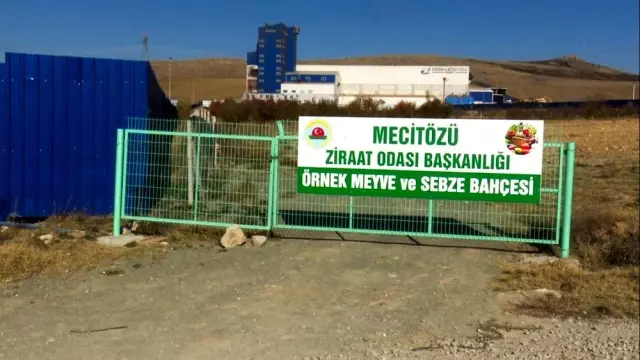Çorum'da biyokütle enerji santrali ile meyve bahçesi yan yana Çorum'da biyokütle enerji santrali ile meyve bahçesi yan yana