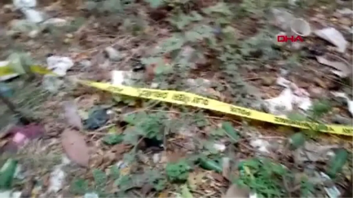 Hatay-evinin penceresinden düşerek öldü