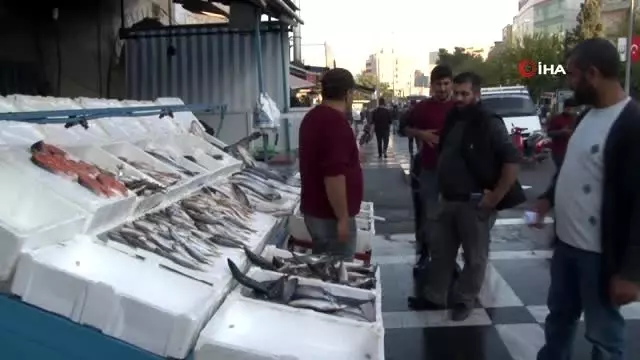 Şanlıurfa'da balığa rağbet arttı Şanlıurfa'da balığa rağbet arttı