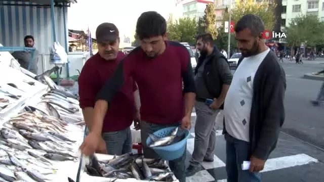 Şanlıurfa'da balığa rağbet arttı Şanlıurfa'da balığa rağbet arttı