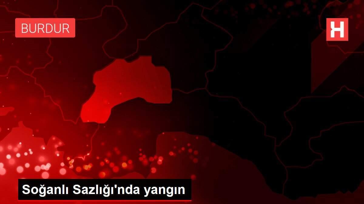 Soğanlı Sazlığı'nda yangın
