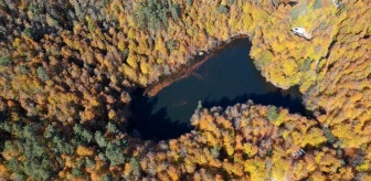 Yedigöller'de sonbaharın getirdiği görsel şölen havadan görüntülendi