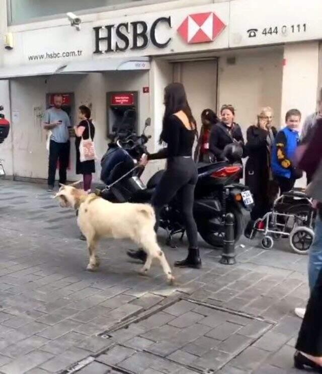 Hamdi Alkan'ın kızı Zeynep Alkan, İstiklal Caddesi'nde keçi gezdirdi