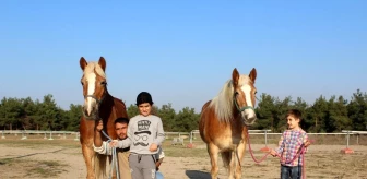 İzmir'in fayton atları ikinci baharlarını Bursa'da yaşıyor