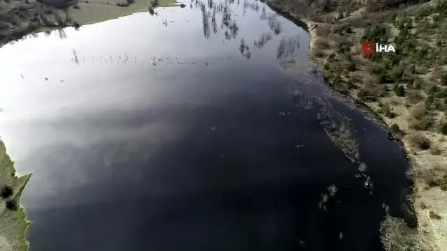 Karabük'te çevre katliamı... Binlerce irili ufaklı balık telef oldu