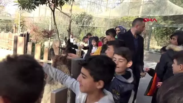 Kocaeli erzurum'dan darıca'ya gelen öğrenciler hayvanat bahçesini gezdi Kocaeli erzurum'dan darıca'ya gelen öğrenciler hayvanat bahçesini gezdi