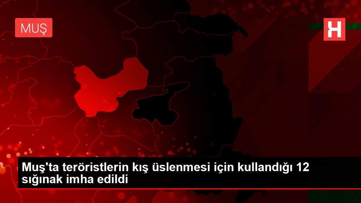Muş'ta teröristlerin kış üslenmesi için kullandığı 12 sığınak imha edildi