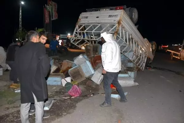 TIR'la çarpışan arı kovanı yüklü kamyonetin sürücüsü yaralandı