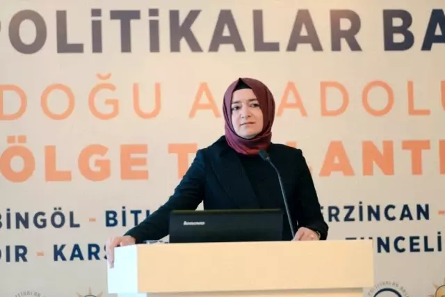 AK Parti Genel Başkan Yardımcısı Kaya Van'da AK Parti Genel Başkan Yardımcısı Kaya Van'da