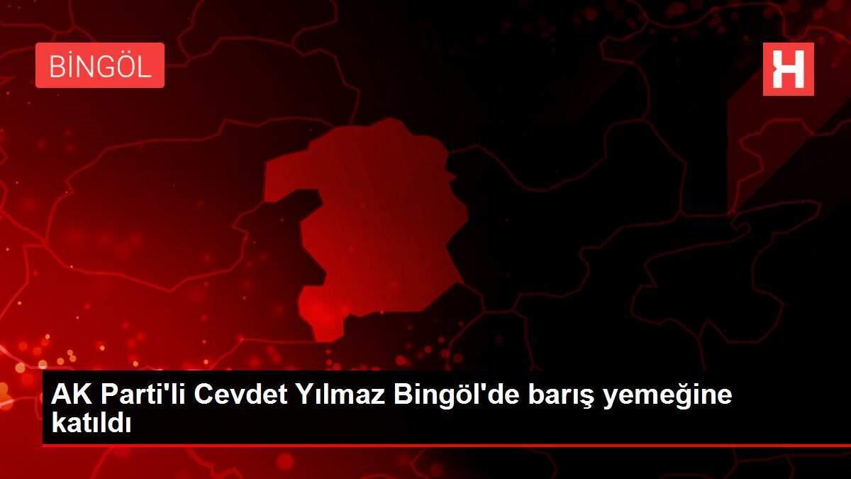 AK Parti'li Cevdet Yılmaz Bingöl'de barış yemeğine katıldı