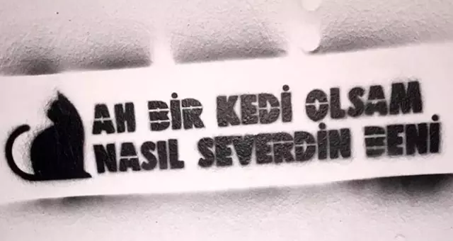 En güzel kamyon arkası yazıları ve en güzel duvar yazıları! Etkileyici duvar yazıları! Komik kamyon arkası yazıları En güzel kamyon arkası yazıları ve en güzel duvar yazıları! Etkileyici duvar yazıları! Komik kamyon arkası yazıları