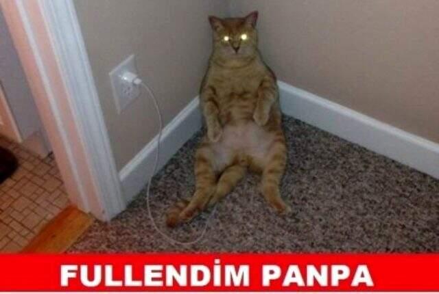 En komik capsler! Gülme garantili capsler! Gelmiş geçmiş en komik capsler