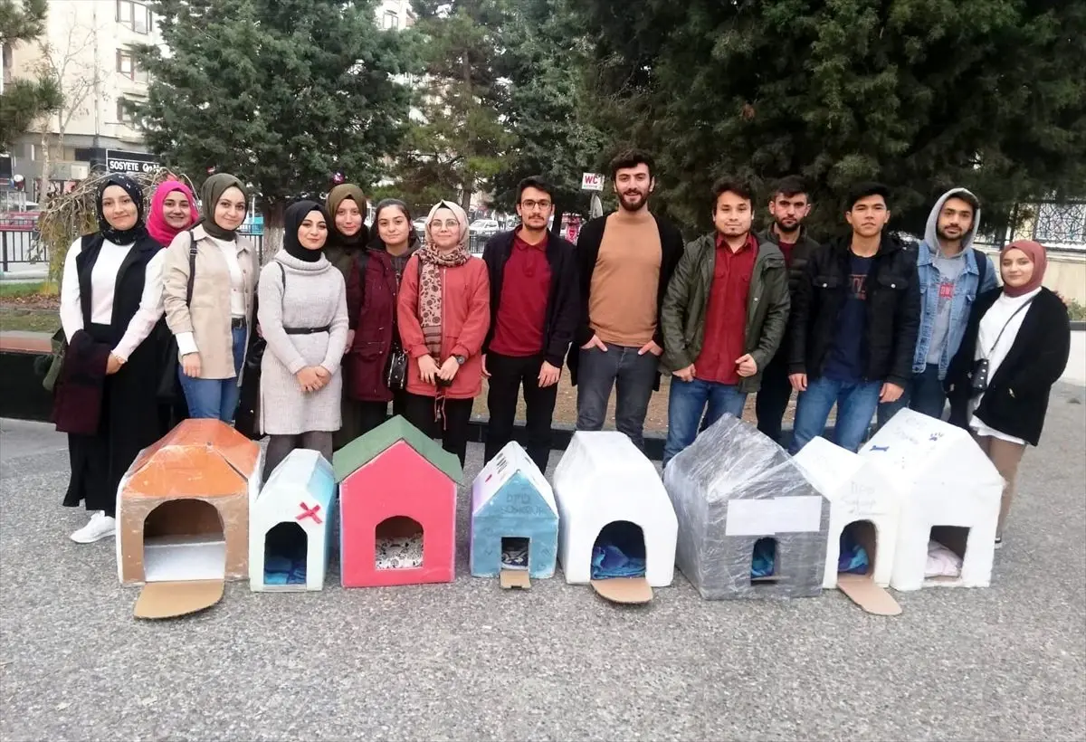 Kütahya'da üniversite öğrencilerinden sokak hayvanlarına kulübe