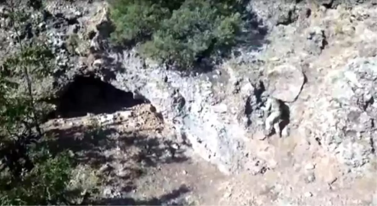 Tunceli'de 'Kıran-7 Munzur Vadisi' operasyonu başlatıldı