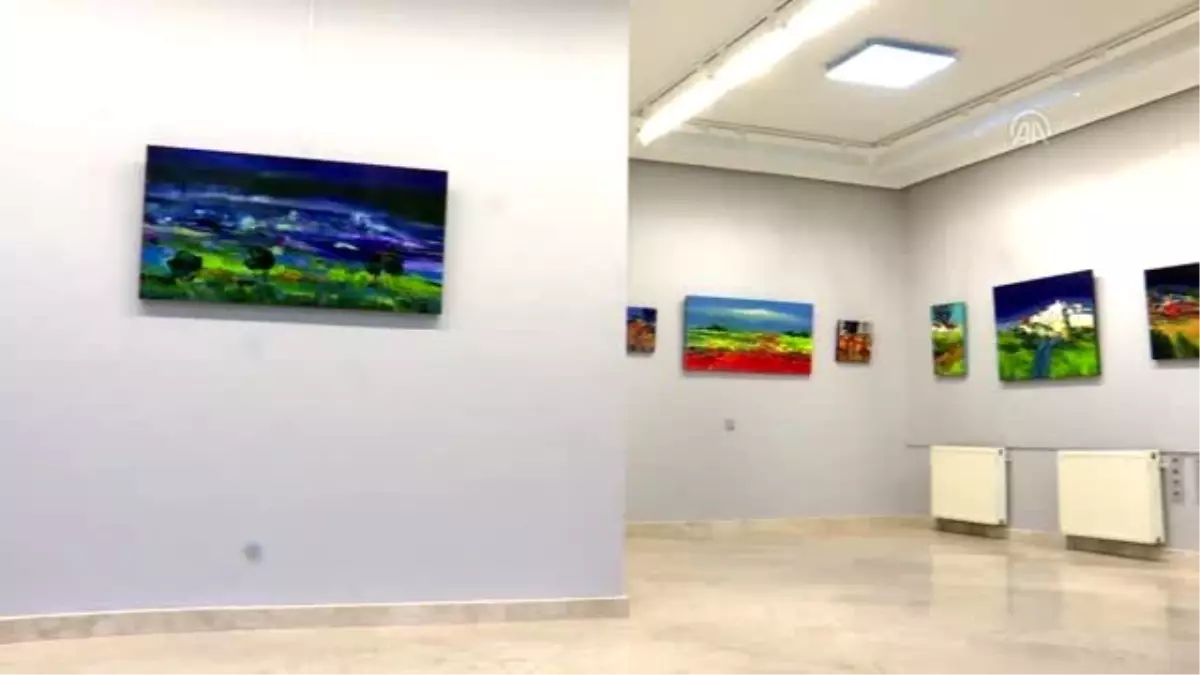 'Turkuaz sınırlar' sergisi sanatseverlerle buluştu