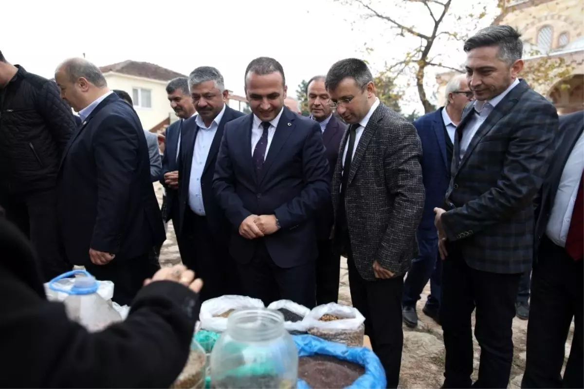 Fatsa'da 1. Tohum Takas Şenliği