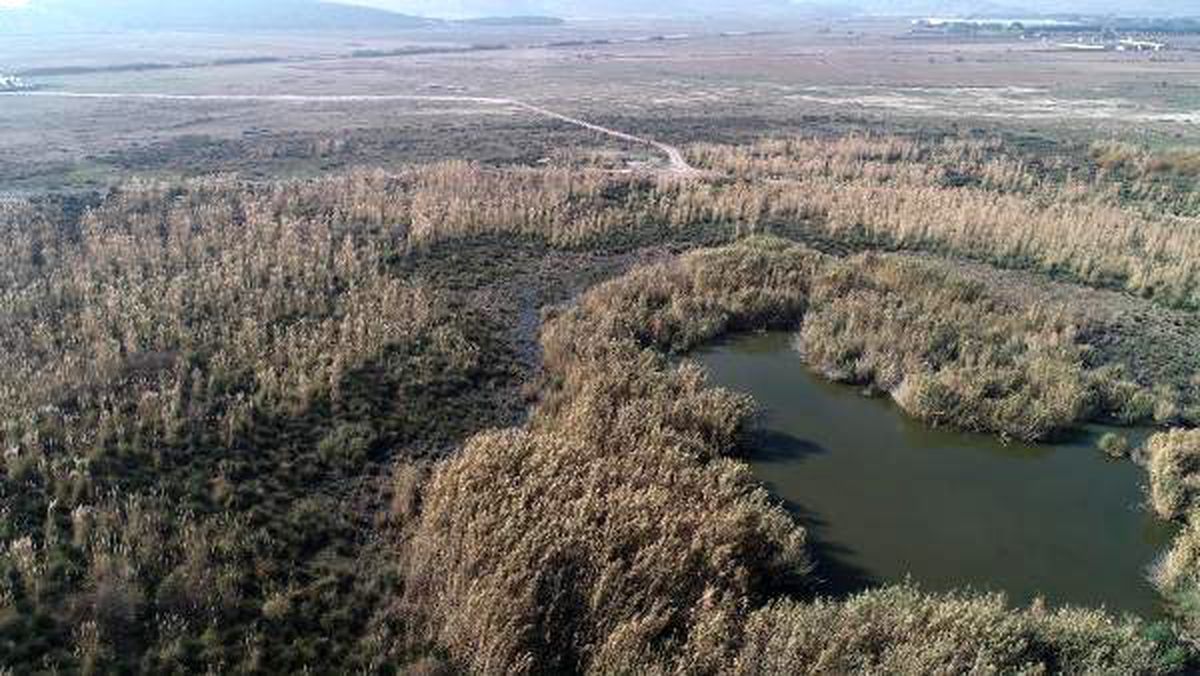 Bataklık ve sazlık bölge, Türkiye'nin en büyük jeotermal ısıtmalı serası olacak