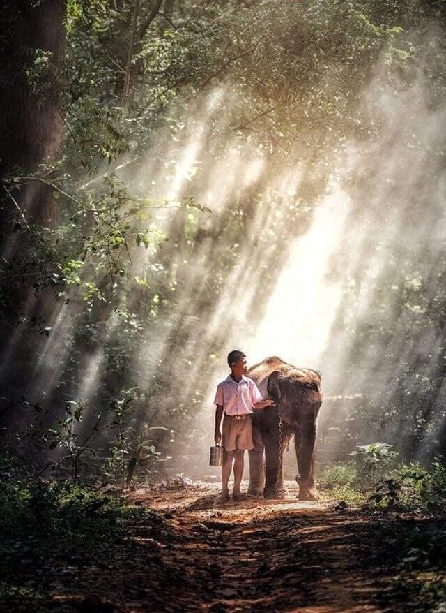 İphone duvar kağıdı ve en güzel iphone duvar kağıtları! En güzel iphone temaları ve iphone zil sesi yapma