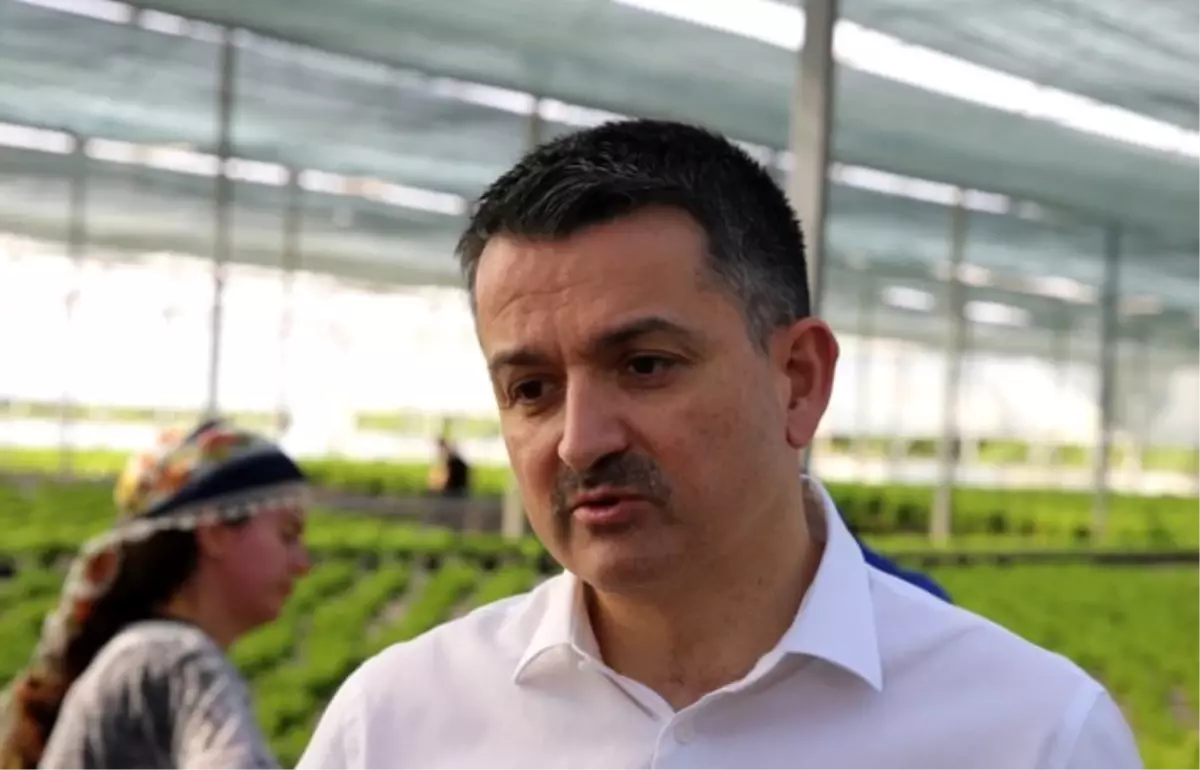 Tarım girişimcisine 50 milyon euroluk hibe