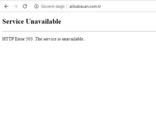 Canlı yayında konuşan Ali Babacan'ın internet sitesi çöktü