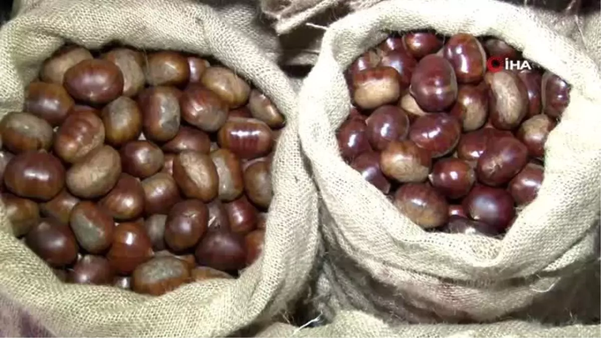 Kestane, kırmızı eti solladı