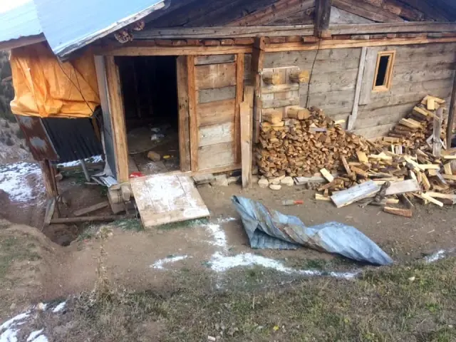 Artvin'de yayla evlerine ayı baskını Artvin'de yayla evlerine ayı baskını