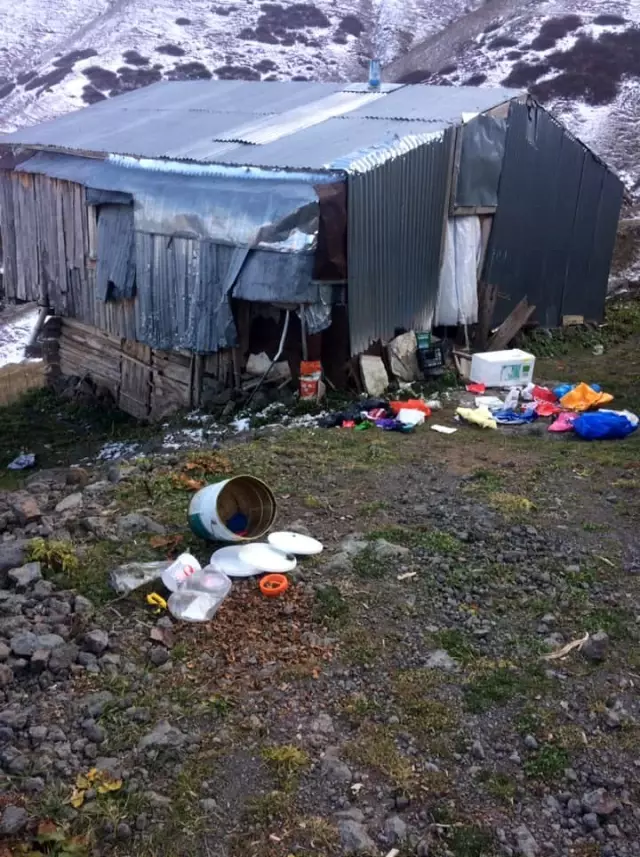 Artvin'de yayla evlerine ayı baskını Artvin'de yayla evlerine ayı baskını