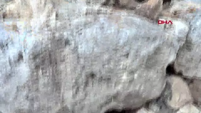 Kahramanmaraş keçileri otlatırken tarihi hamam ve kilise kalıntıları buldu - Kahramanmaraş keçileri otlatırken tarihi hamam ve kilise kalıntıları buldu -