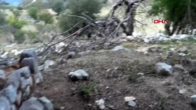 Kahramanmaraş keçileri otlatırken tarihi hamam ve kilise kalıntıları buldu -