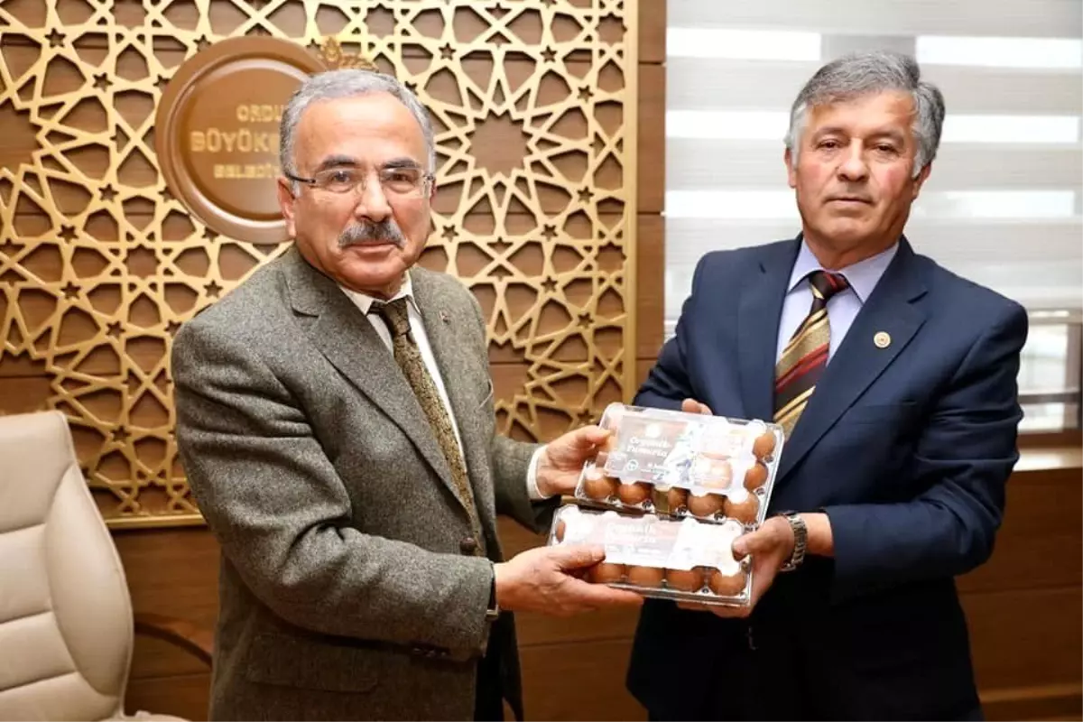 Ordulu yumurta üreticileri: 'Balık tutmayı öğrendik'