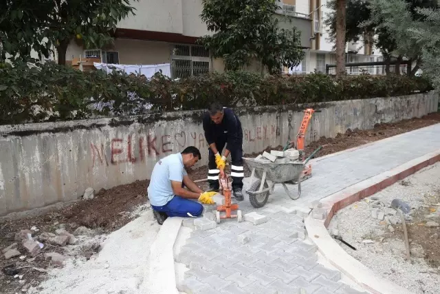 Seyhan'da budama, bakım-onarım, yenileme çalışmaları Seyhan'da budama, bakım-onarım, yenileme çalışmaları