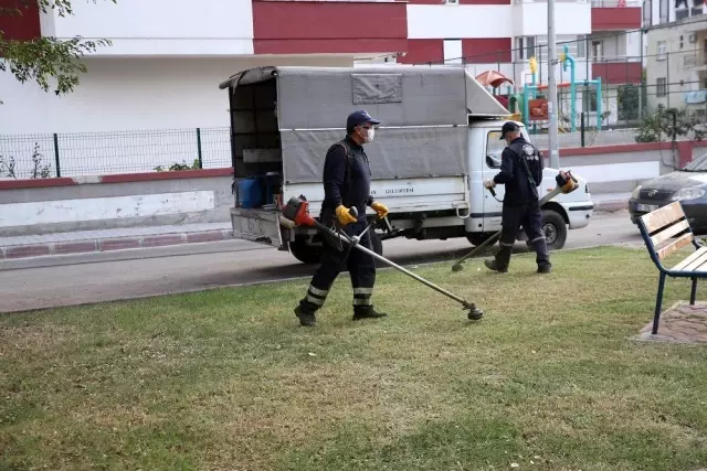 Seyhan'da budama, bakım-onarım, yenileme çalışmaları Seyhan'da budama, bakım-onarım, yenileme çalışmaları