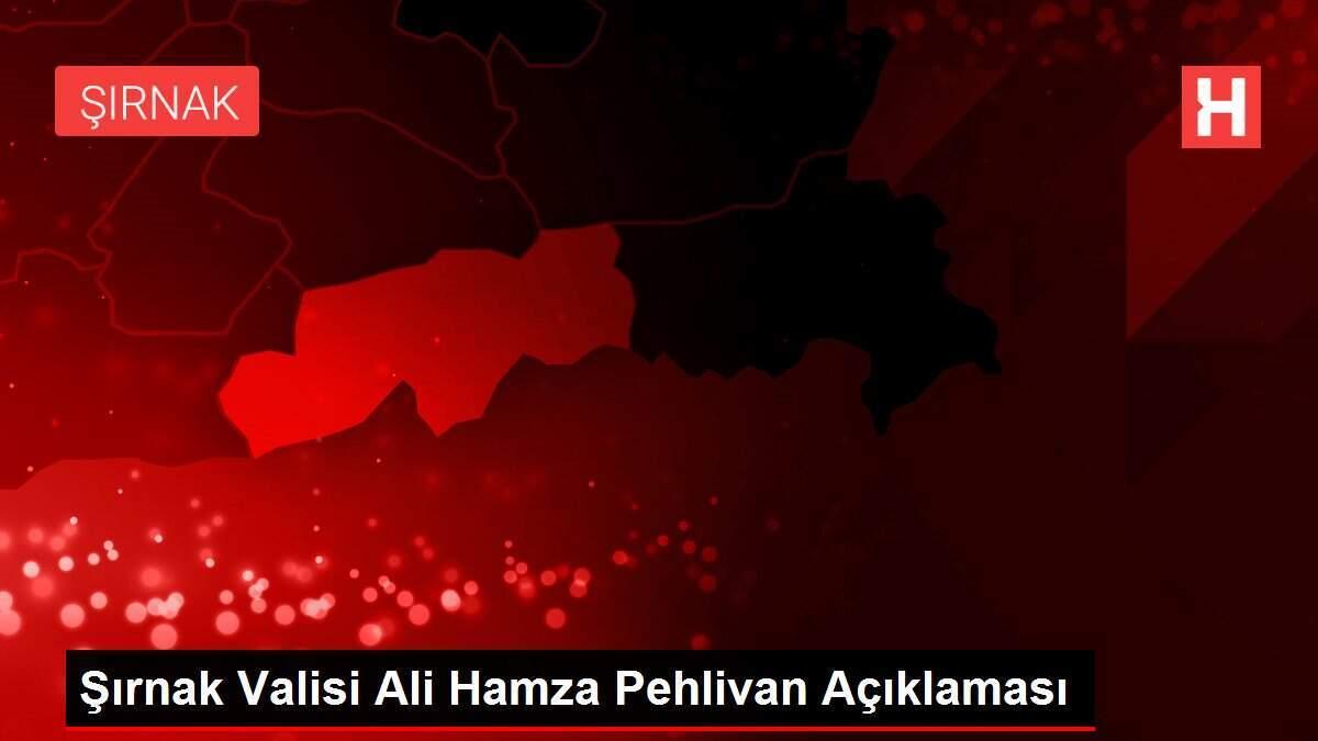 Şırnak Valisi Ali Hamza Pehlivan Açıklaması